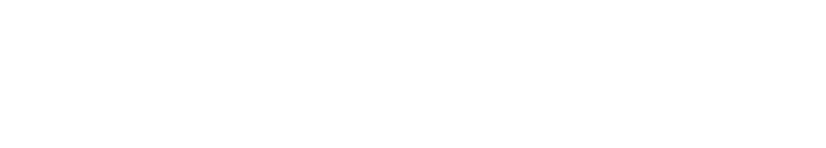 SeeWise Logo